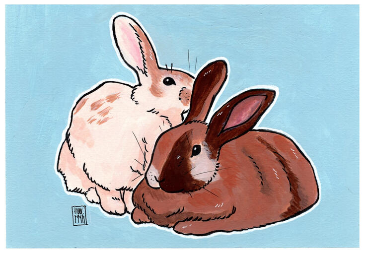 Pet - traditional