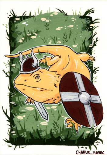 Pet - traditional