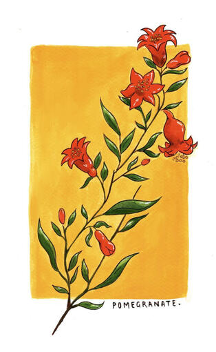 Flower - traditional