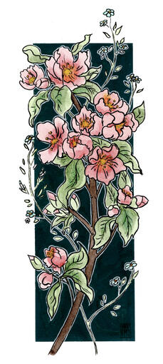 Flower - traditional
